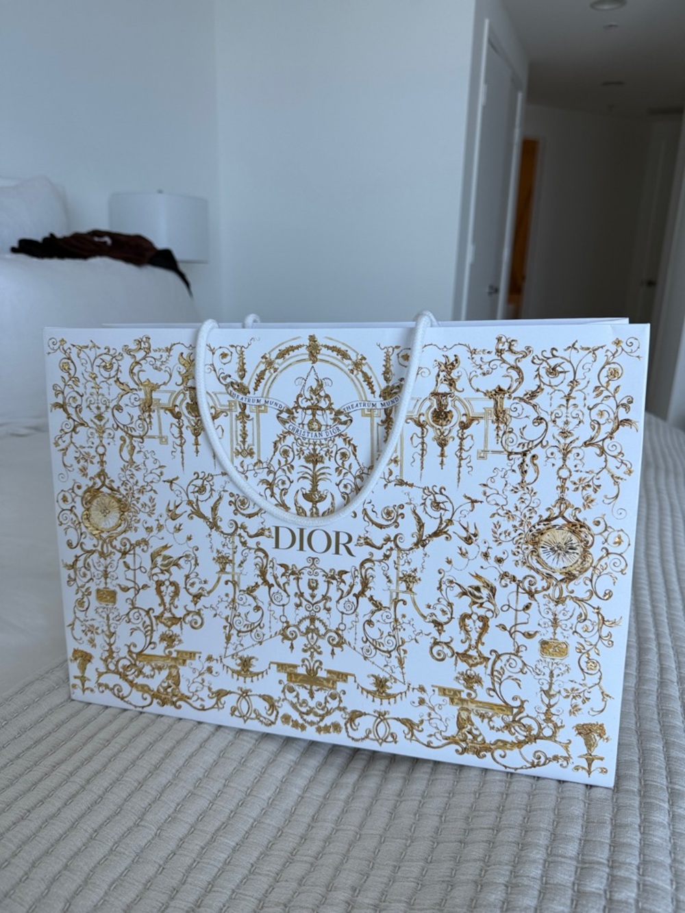 Dior Limited Edition Shopping Bag